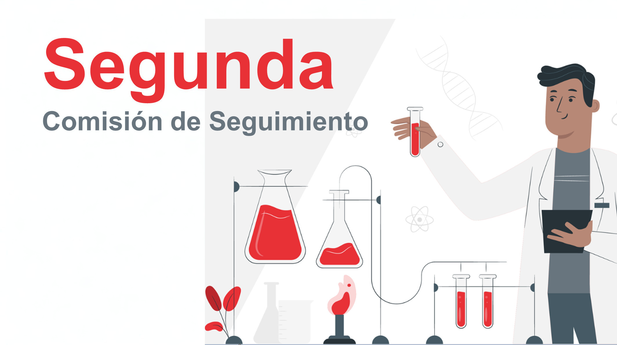 Segunda_ComisiC3B3n_Quimico20-20Editada.jpg